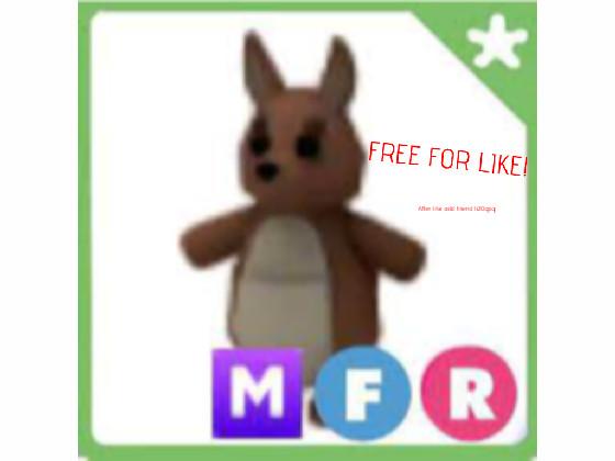 Free Kanguroo for like