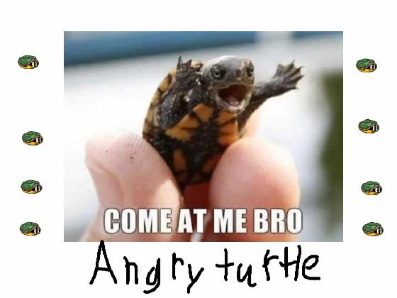 The angry turtle