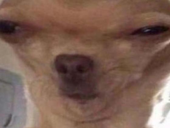 Scary Maze Game 1112 1 1