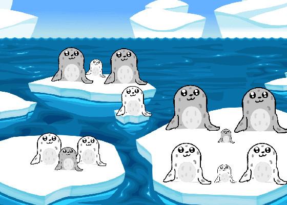 Seals and orka 3 1 1