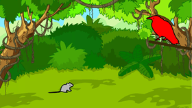 Bird and Rat Animation