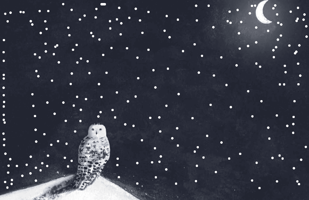 Snow owl 1