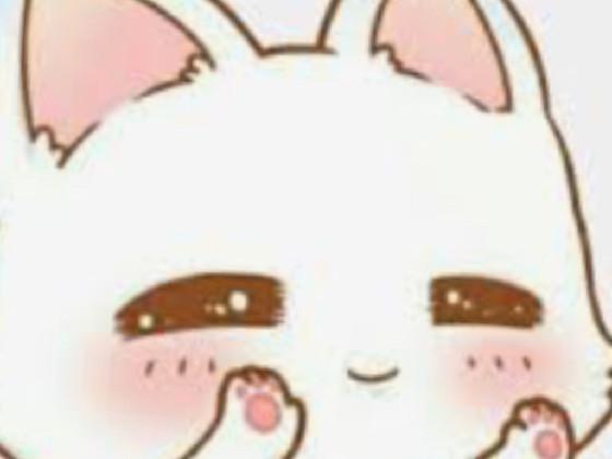 cats are adorable