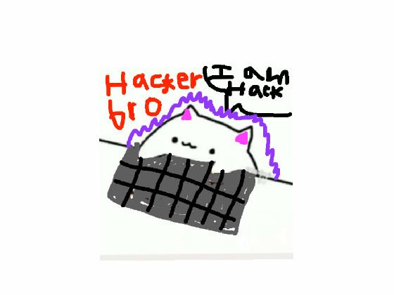  hacker cat  1