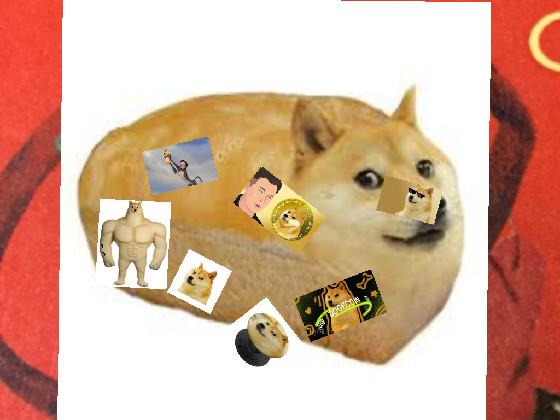 we will rock you doge