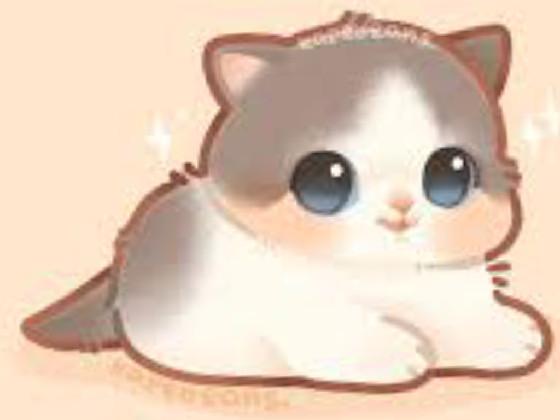 chubby kitty