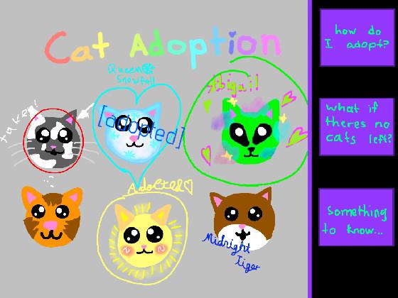 Cat adoption 1 1 1 1 1 1 1