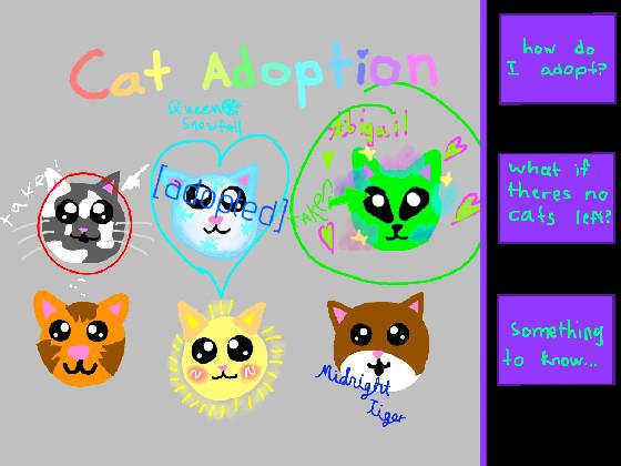 Cat adoption 1 1 1 1 1 1 1