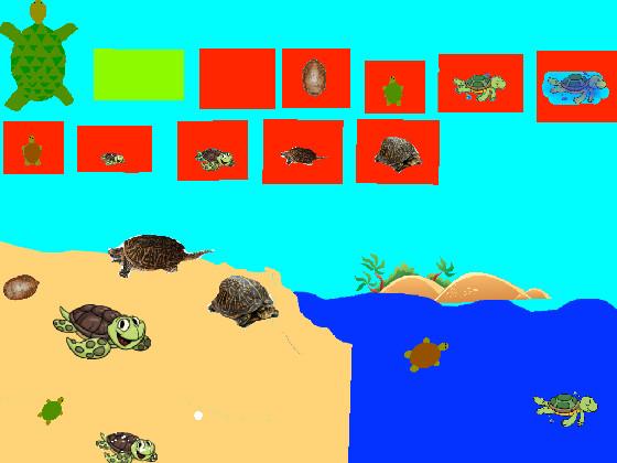 Turtle Clicker!  2