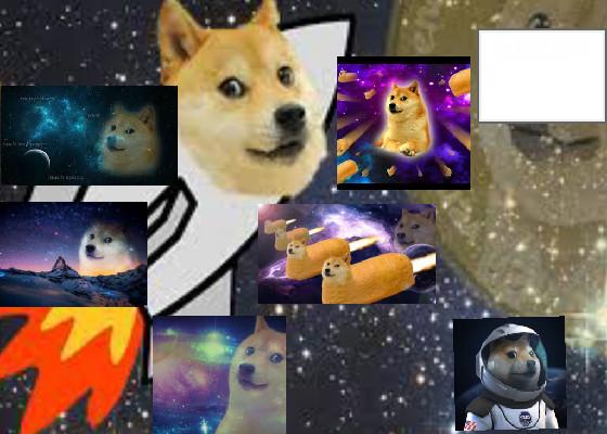 space doge