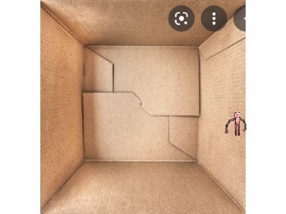 The figure in a box dies):