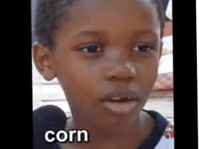 it’s corn meme official song