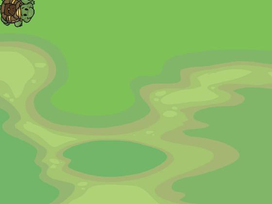 Turtle Trails 1