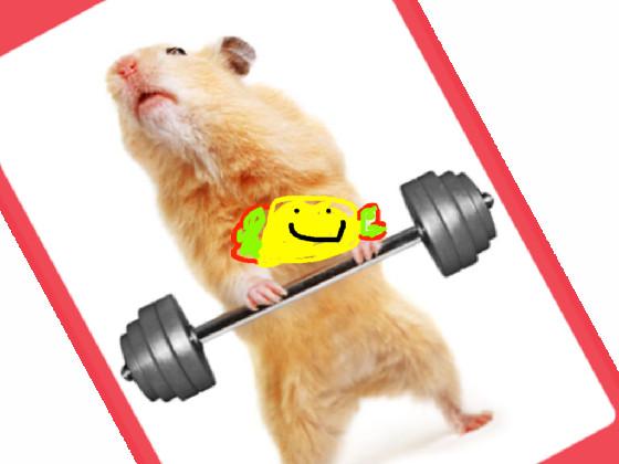 Hamster strong