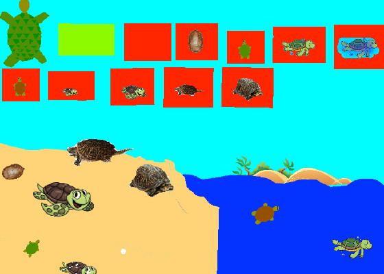 Turtle Clicker!  1