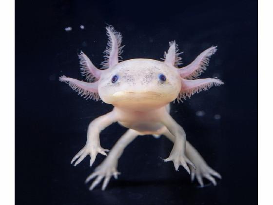 holaaaaaaaa :))))))))