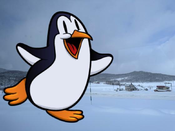 Crazy Penguin