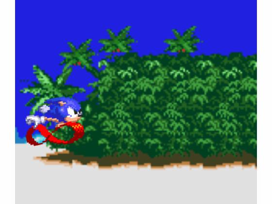 Sonic Animation 1