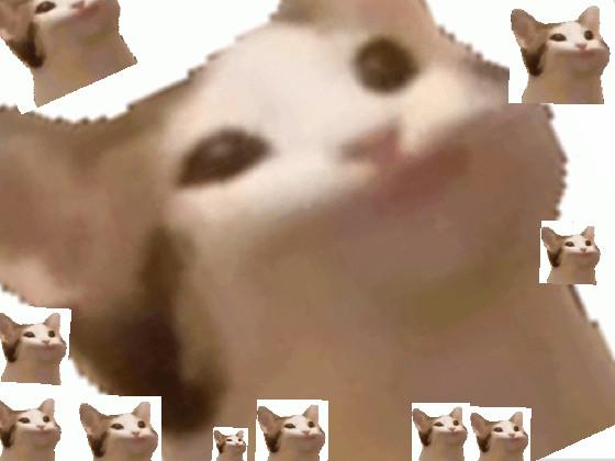 dont click pop cat 1 1 1