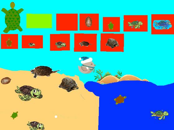 Turtle Clicker!  1