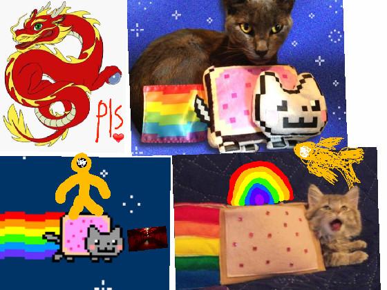 Nyan Cat Music  1 1 1 1