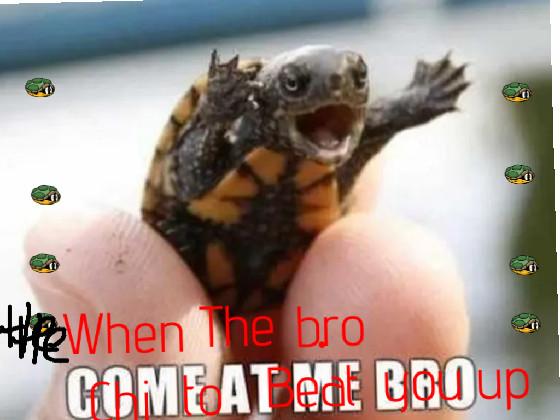 The angry turtle 1 1 1