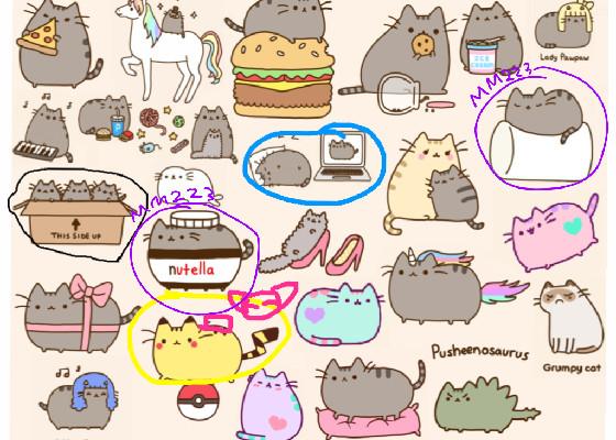 Adopt-A-Pusheen 1 1 1