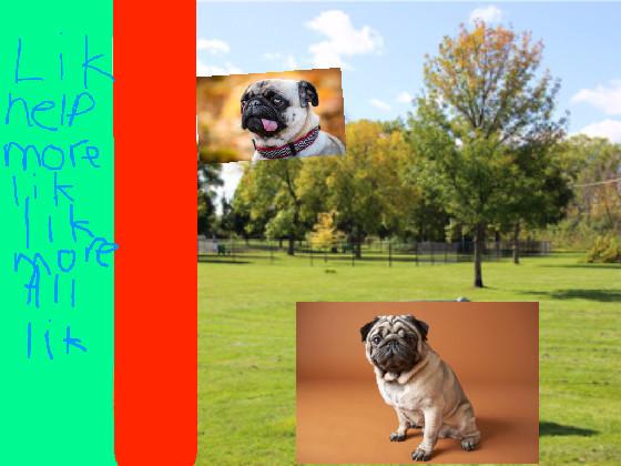 pug clicker 1