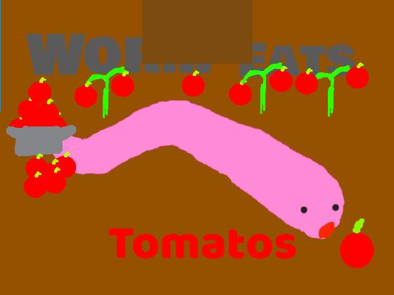 Worm eats tomatos  1