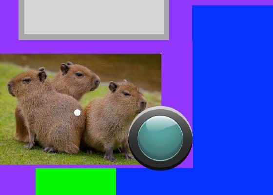 capybara clicker