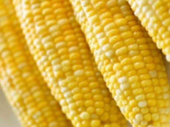 iT’S cOrN song 1 1 1 1 1