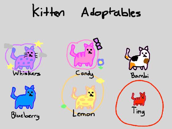 Kitten adoptables! 1 1