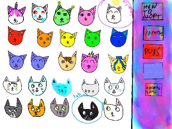 re:NEW ADOPT A CAT!!! 1 1