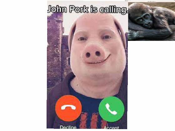john pork made by linkoln