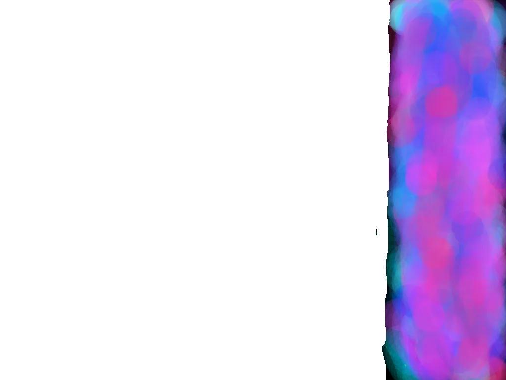 re:NEW ADOPT A CAT!!! 1