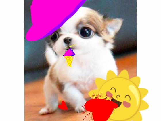 dog that will make u cry 1
