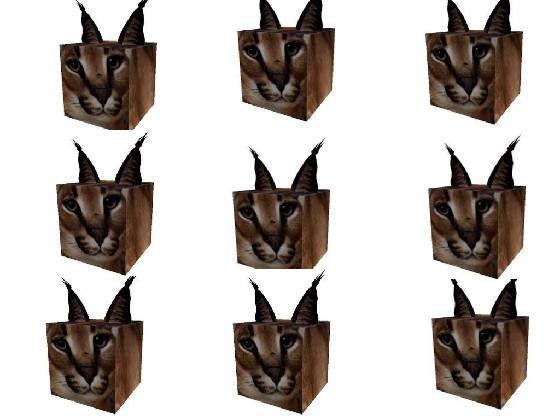 Floppia army