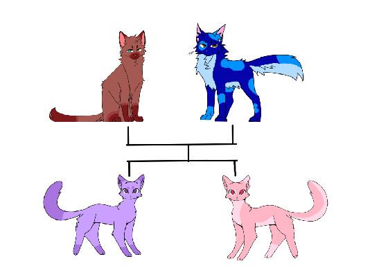 To explain odd genetics