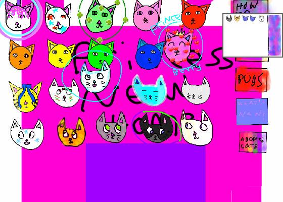 NEW ADOPT A CAT!!! 2 1 1 1