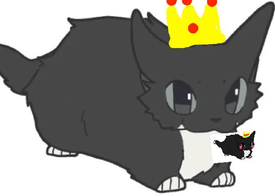 Maxwell the cat meme 1 1 1