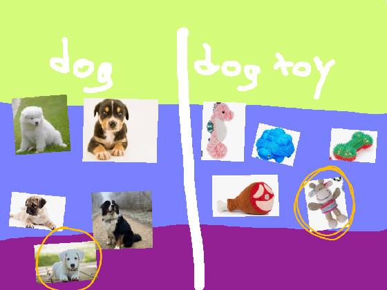 choose your dog + dog toy!