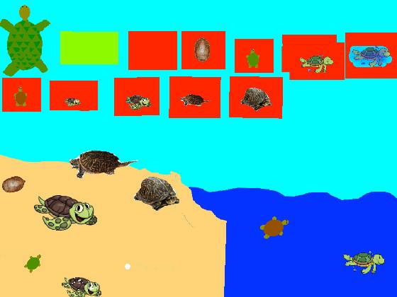Turtle Clicker!  1