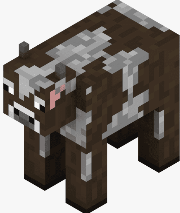 this cow is cute!