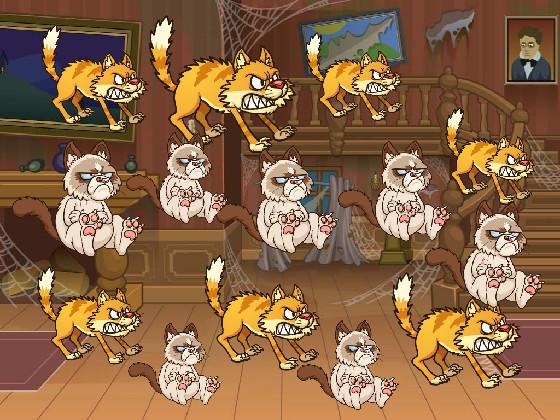 Angry/grumpy cats be like: