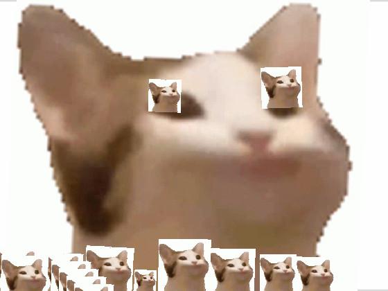 dont click pop cat 1 1 1