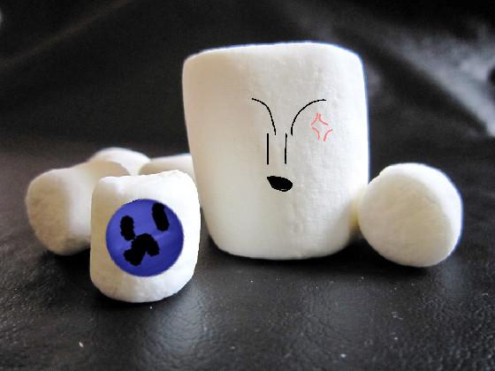 Marshmello happier 1 1 1 1