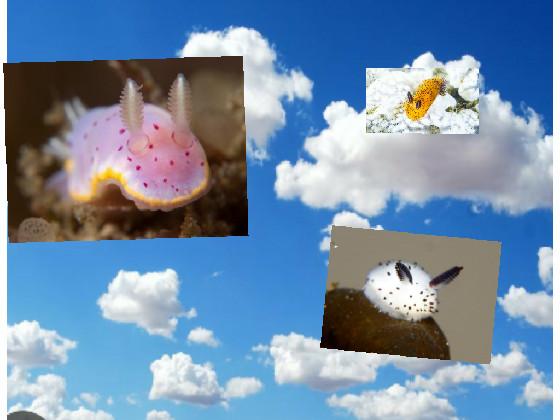 Sea buns bounce in the sky