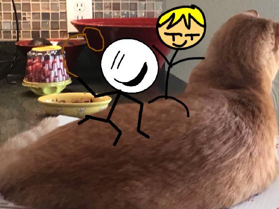 add your oc to my cat 1