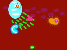 Immune System 1