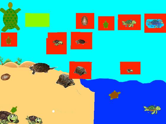 Turtle Clicker!  1 1